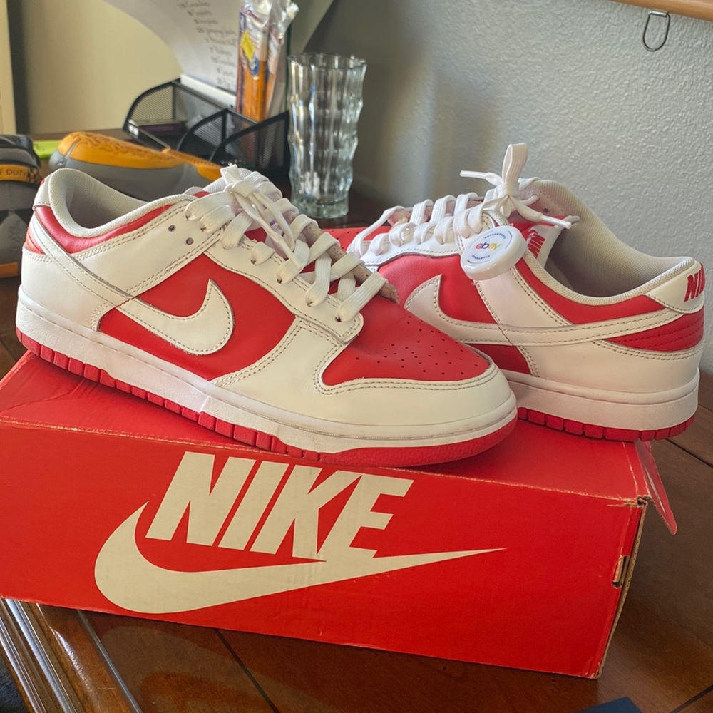 Mens nike Dunk Low Retro with authenticity Like new